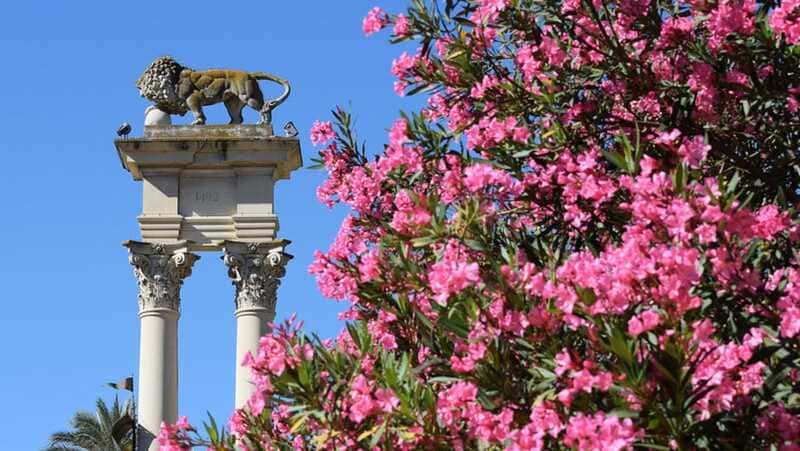 The Murillo Gardens in Seville 5 monument Murillo Gardens in Seville