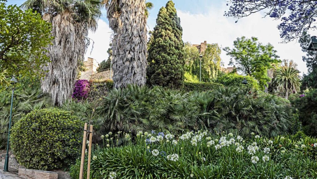 Jardin puerta oscura 3