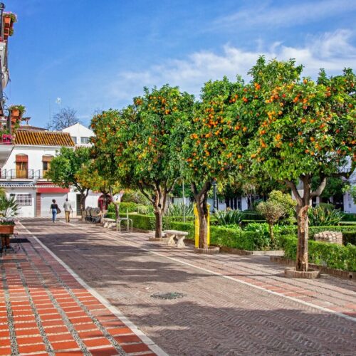 Plaza naranjos marbella