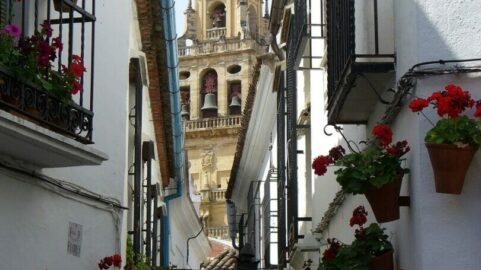 Excursion a cordoba desde Malaga