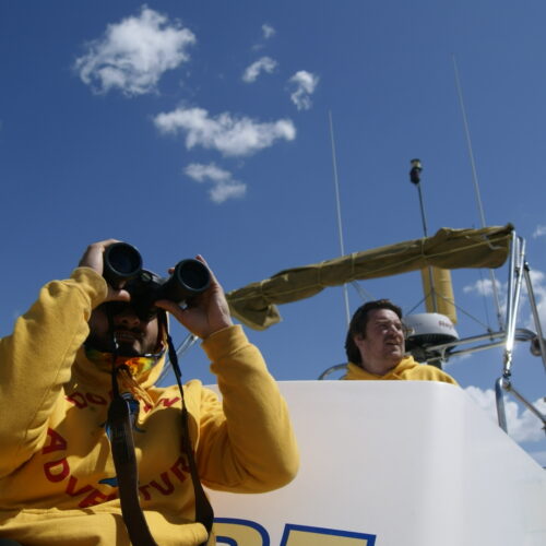 Avistamiento de delfines